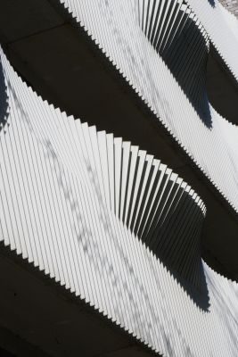 Framing Amsterdam - A Creative Photography Tour 1