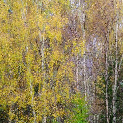 Scotland in Autumn Photography Tour