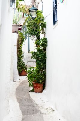 Athens Street Photography Tour