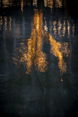 Bristol Creative Photography Workshop