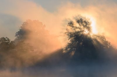 Burgundy Landscape Photography Tour