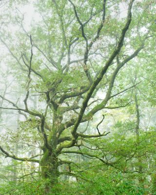 Rural Burgundy Photography Tour