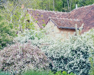 Burgundy Photography Holiday
