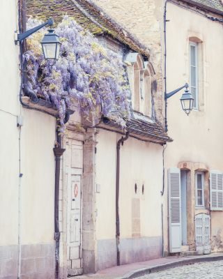Burgundy Photography Tour