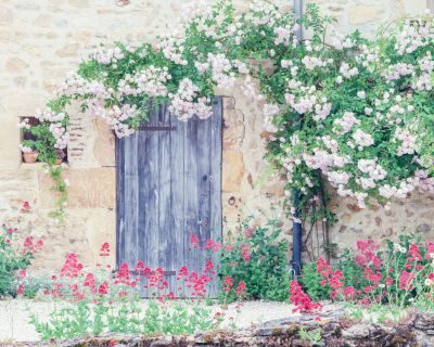 Burgundy Photography Tour
