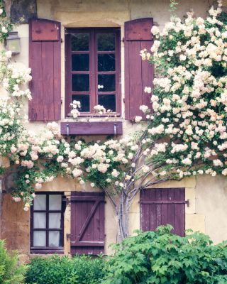 Burgundy Photography Tour