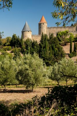 Carcassonne Photography Tour