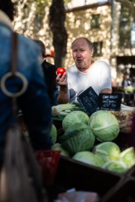 Carcassonne Street Photography