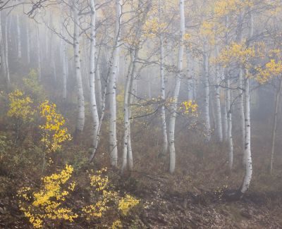 Colorado Landscape Photography Tour