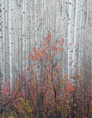 Colorado Landscape Photography Tour