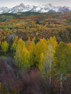 Colorado in Fall Landscape Photography