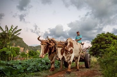 Cuba Photography Tour