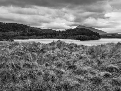 Spring on the Donegal Coast Photography Tour 1