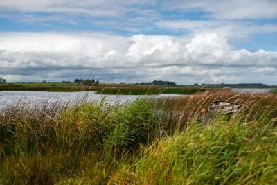 Spring on the Donegal Coast Photography Tour 1