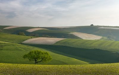 Wiltshire Photography Tour