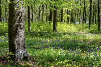 Wiltshire Photography Tour