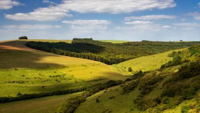 Dorset Photography Tour