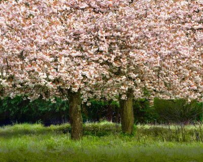 Dorset Photography Tour