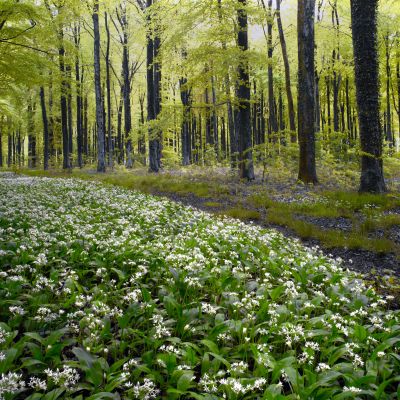 Hidden Dorset and Wiltshire Photography Tour 1