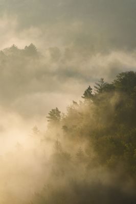 Elbe Mountains Photography Tour
