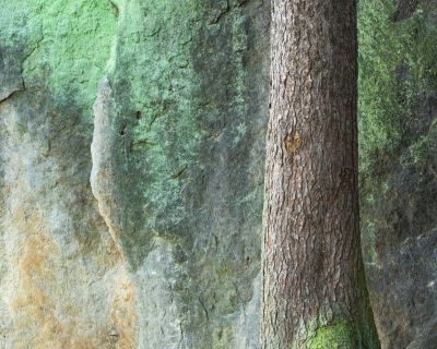 Elbe Mountains Photography Tour