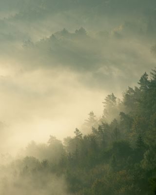 Elbe Sandstone Mountains Landscape Photography