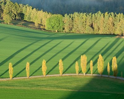 Elbe Mountains Photography Tour