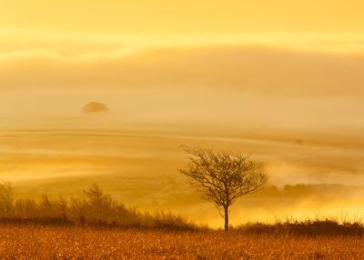 Exmoor Moors Photography Tour