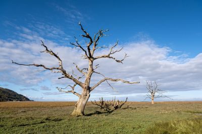 Exmoor Moors Photography Tour