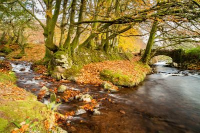 Exmoor Streams Photography Tour