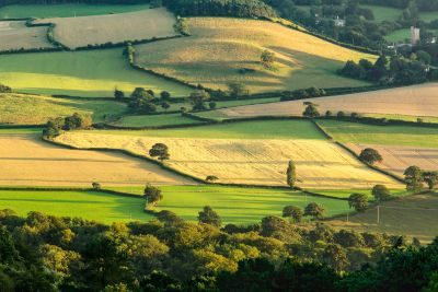 Exmoor Photography Tour