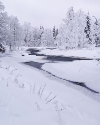 Finland Winter Landscape Photography
