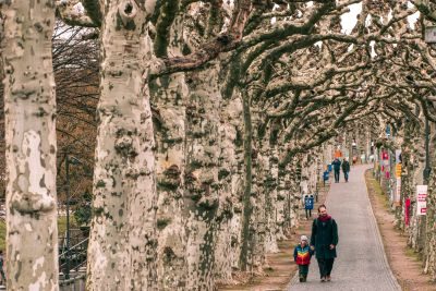 The World’s Oldest Christmas Market - Winter in Frankfurt Photography Tour 1