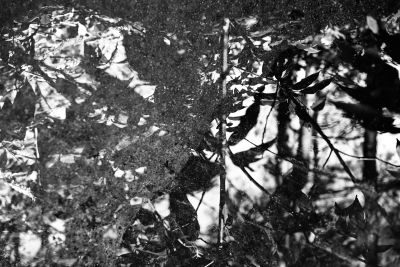 The Art of Play - Creative Photography Workshop Amongst Sculptures and Nature 1