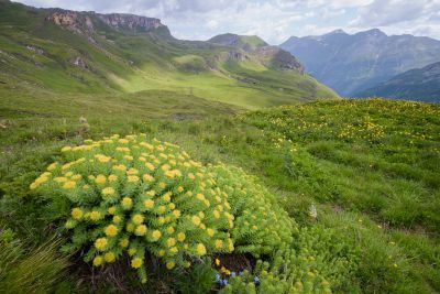 Hohe Tauern - An Alpine Photography Tour 1