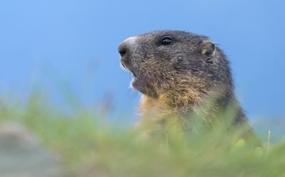 Hohe Tauern - An Alpine Photography Tour 1