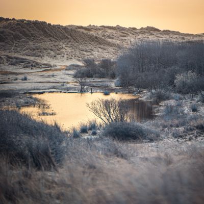 North Devon Coast Landscape Photography