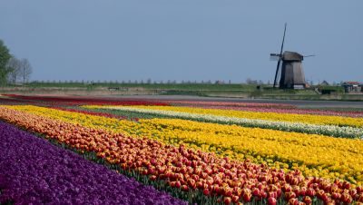 Impressions of Holland Photography Tour 1