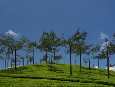 Kerala Landscape Photography Tour