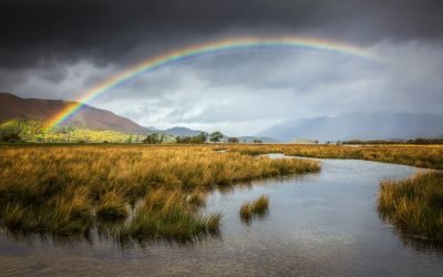 Lake District Landscape Photography