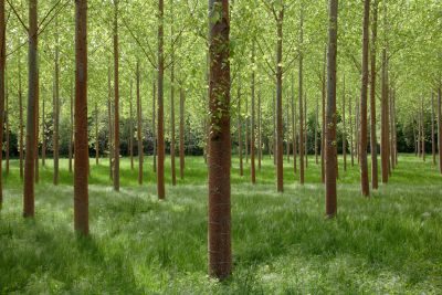 Dordogne and the Lot Photography Tour