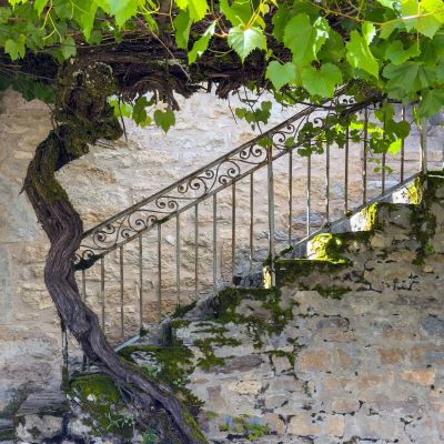 The Heart of Timeless France - The Lot & Dordogne Photography Tour 1