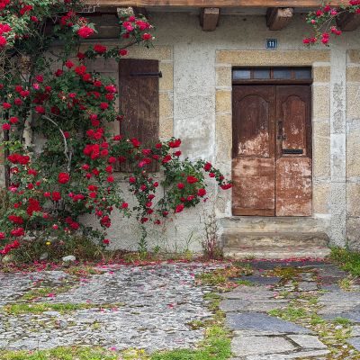 The Heart of Timeless France - The Lot & Dordogne Photography Tour 1
