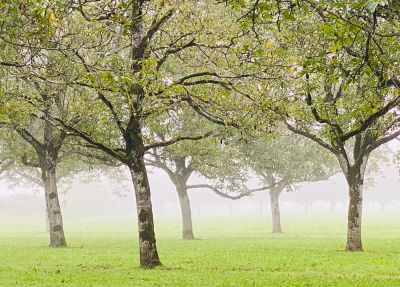 Dordogne and the Lot Photography Tour