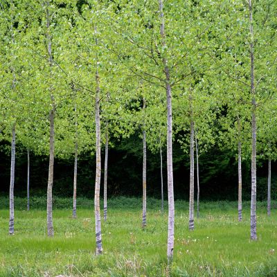 Dordogne photography Tour