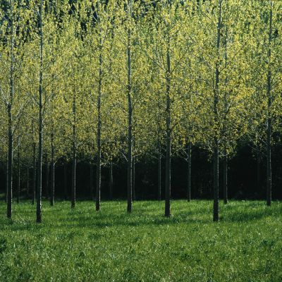 Dordogne & the Lot Photography Tour