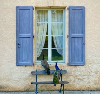 The Heart of Timeless France - The Lot & Dordogne Photography Tour 1