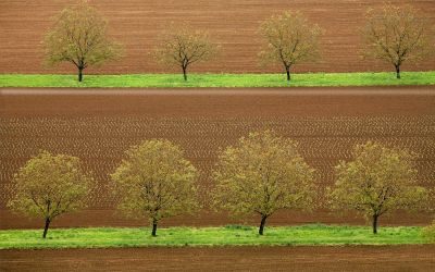 Dordogne Photography Tour