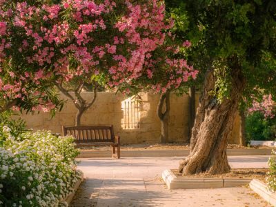 Malta Photography Tour