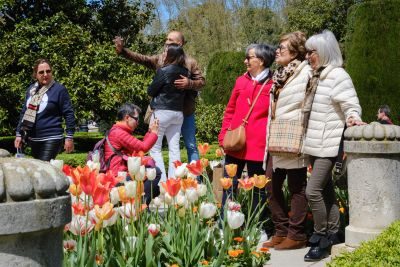 Toledo Photography Tour 